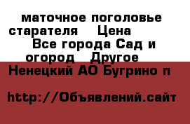 маточное поголовье старателя  › Цена ­ 3 700 - Все города Сад и огород » Другое   . Ненецкий АО,Бугрино п.